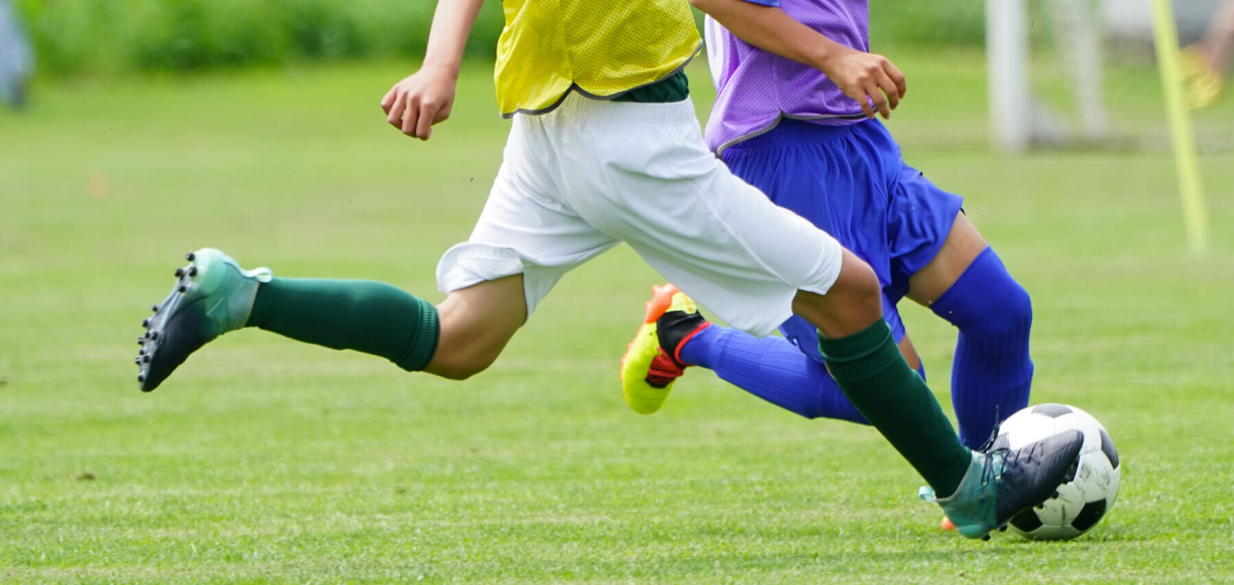 食を通して
あなたの幸せが循環する未来を
デザインします