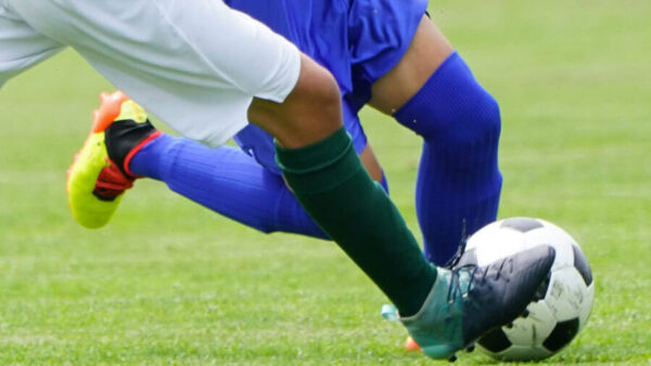 【治療院様向け】季節の栄養レターを通して、選手とご家族を支える取り組み