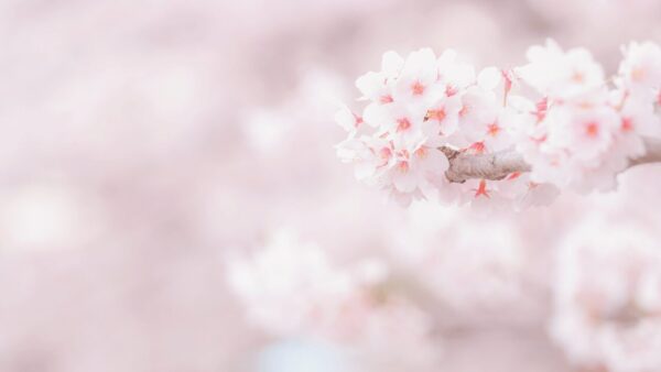 【国会で感じた】現場から社会を変えていくということ