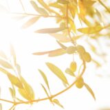 熊本の地震を受けて、今できることを